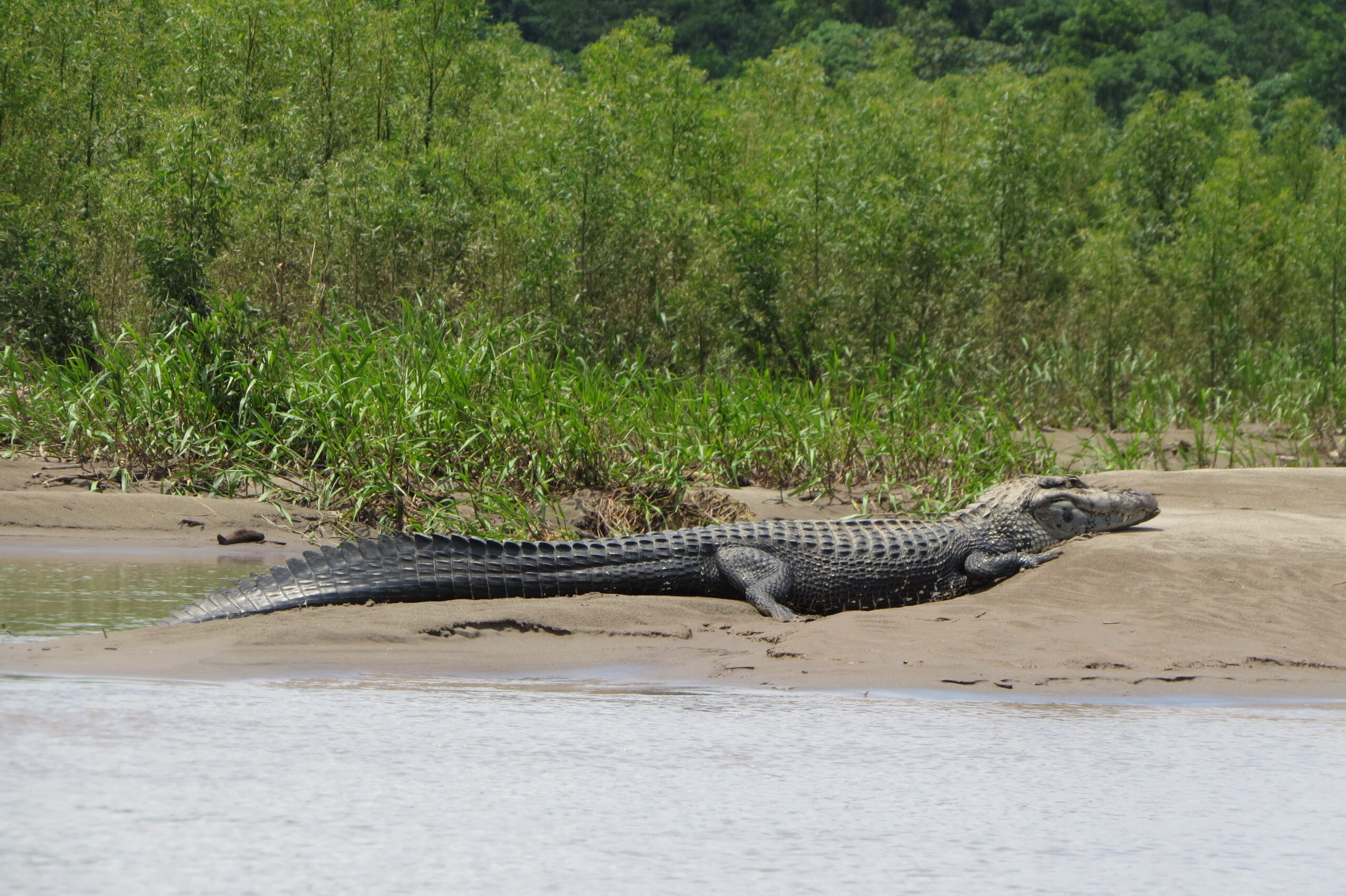 IMG_4529-scaled.jpg