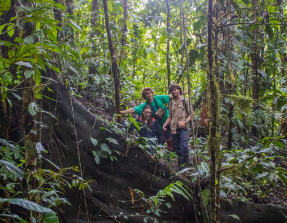 Viajar al Manu con conciencia ecológica